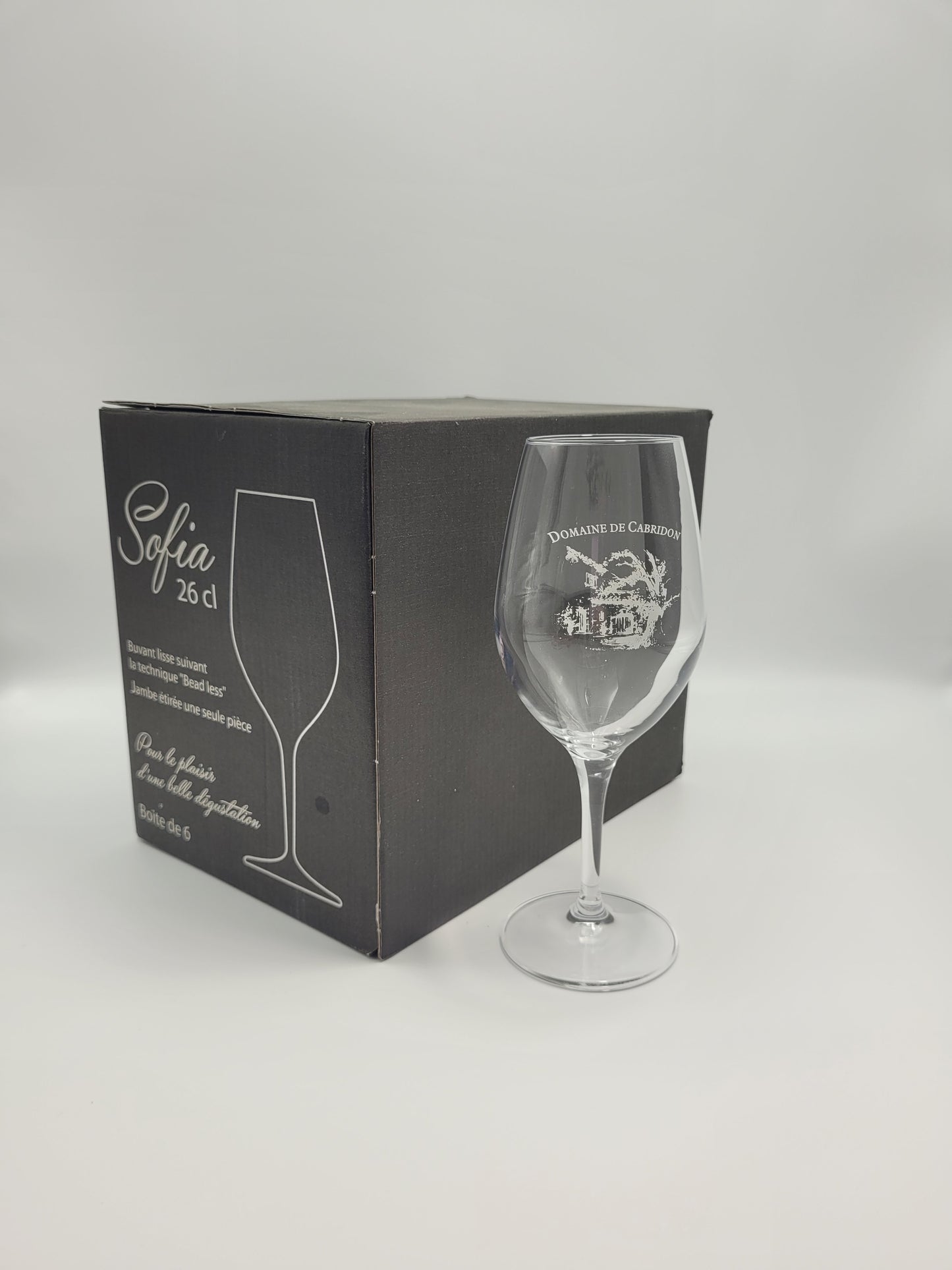 Verre Domaine de Cabridon (x6)