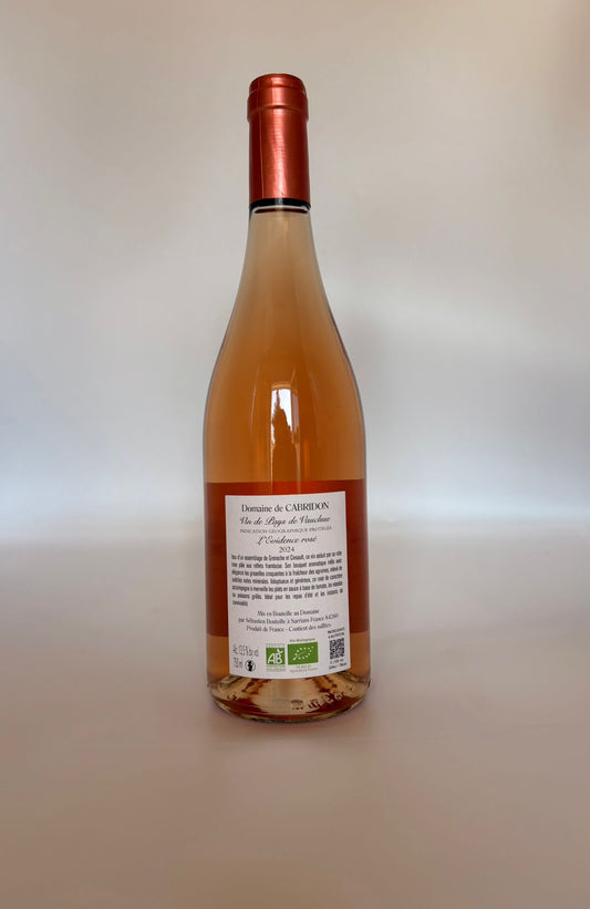 L'Evidence Rosé 2025