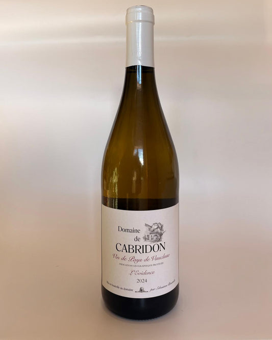 Das OR-dinary White 2023