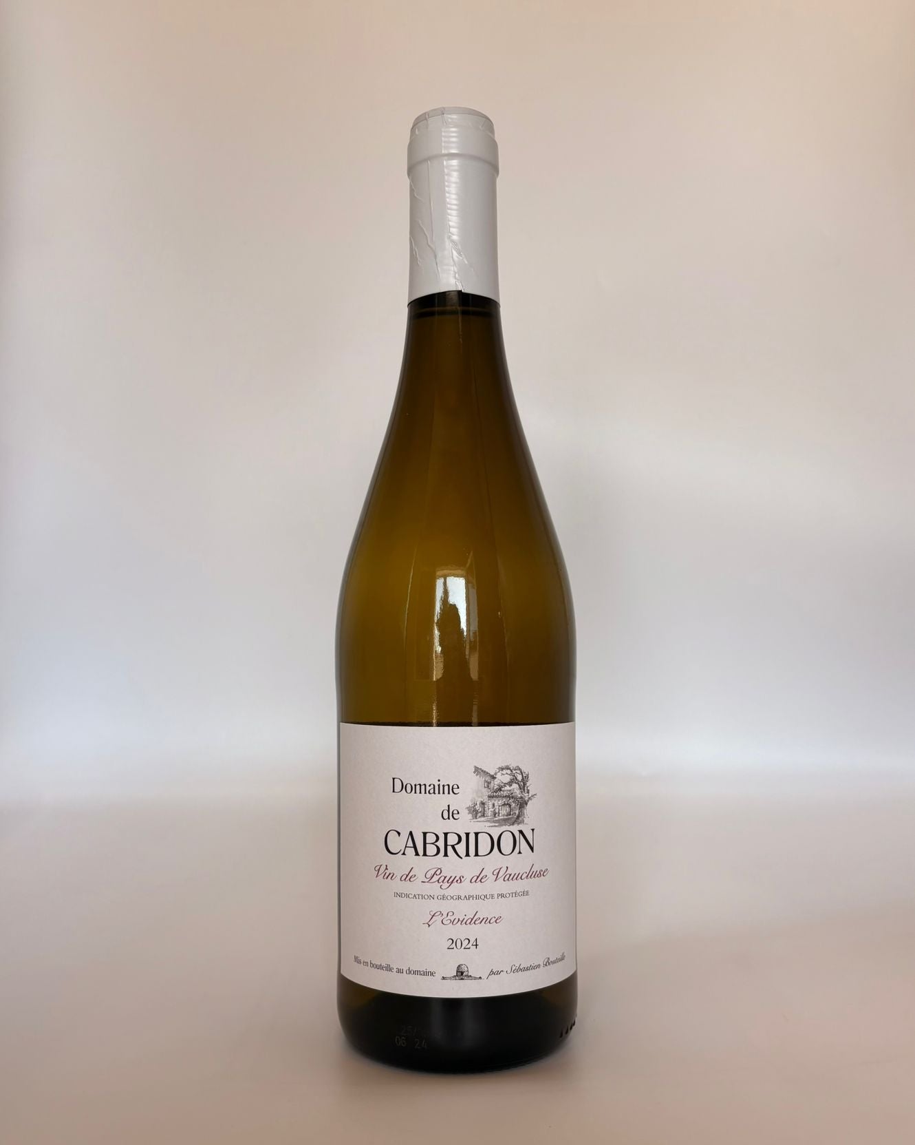 The OR-dinary White 2023