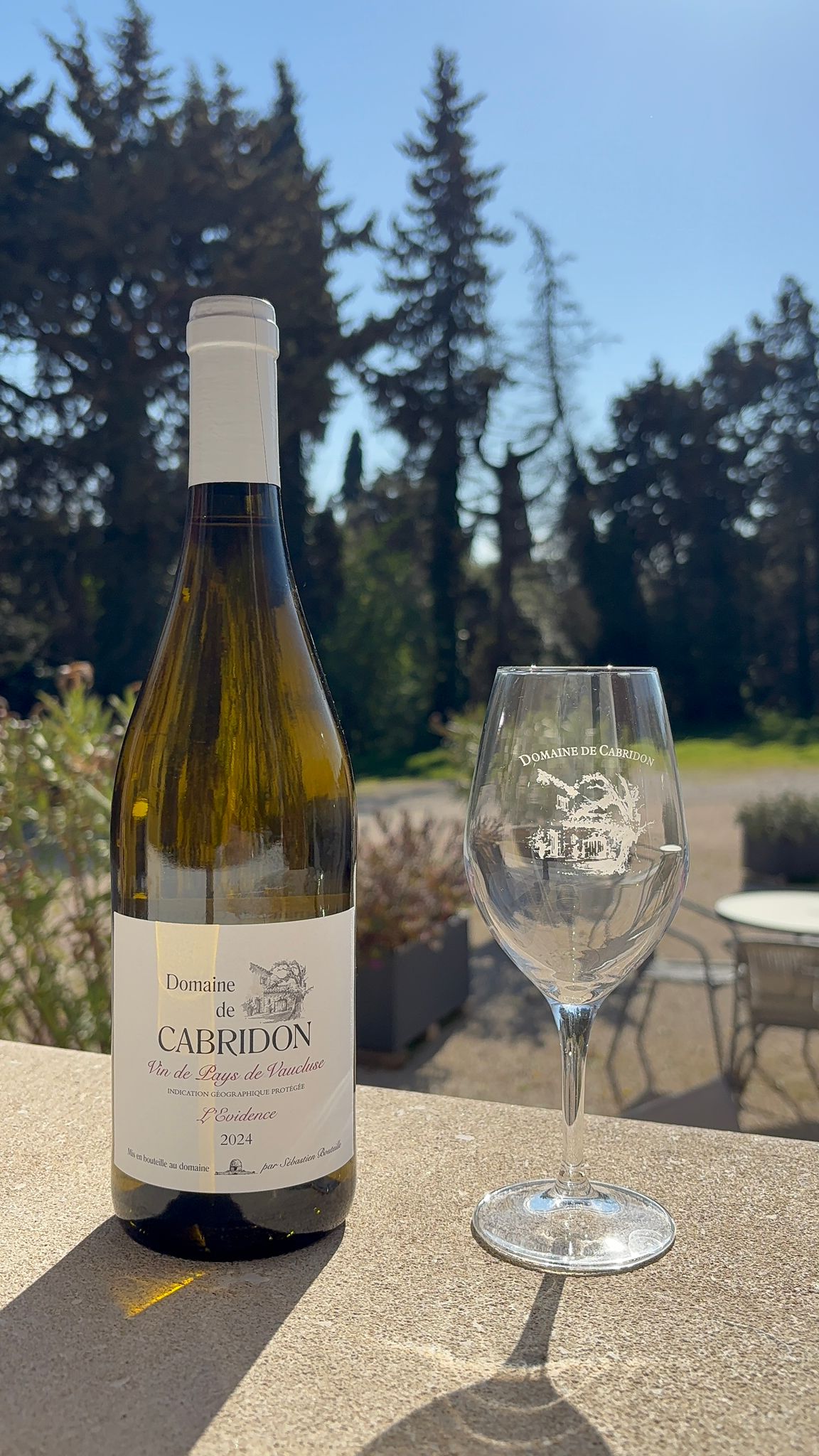 The OR-dinary White 2023