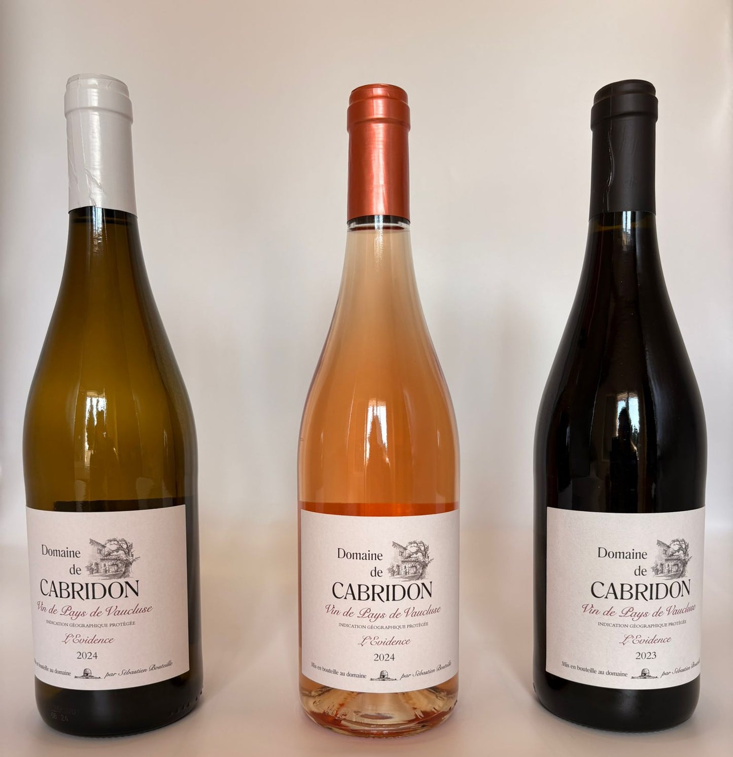 The OR-dinary White 2023